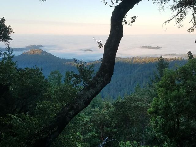 24854 Skyland Road, Los Gatos, CA 95033