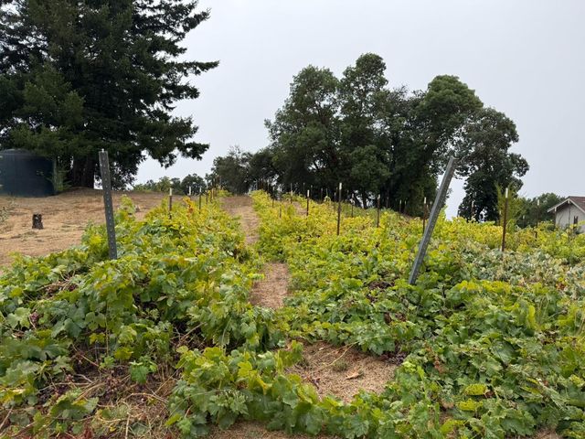 24854 Skyland Road, Los Gatos, CA 95033