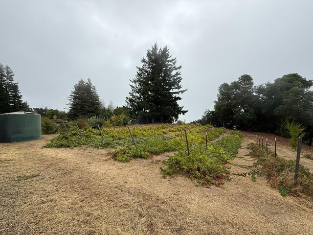 24854 Skyland Road, Los Gatos, CA 95033