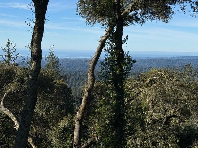 24854 Skyland Road, Los Gatos, CA 95033