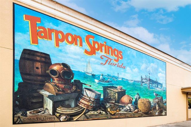 39650 US HWY 19 N, Tarpon Springs, FL 34689