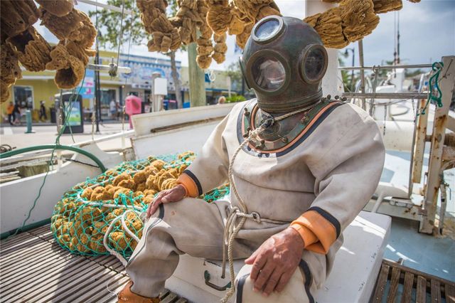 39650 US HWY 19 N, Tarpon Springs, FL 34689