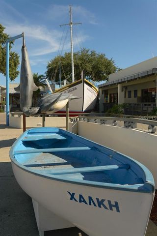 39650 US HWY 19 N, Tarpon Springs, FL 34689