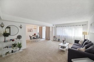 1836 METZEROTT RD #1720, Hyattsville, MD 20783