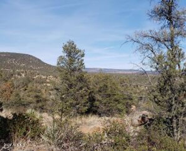 4R-4 N Ike Clark Parkway 4, Young, AZ 85554