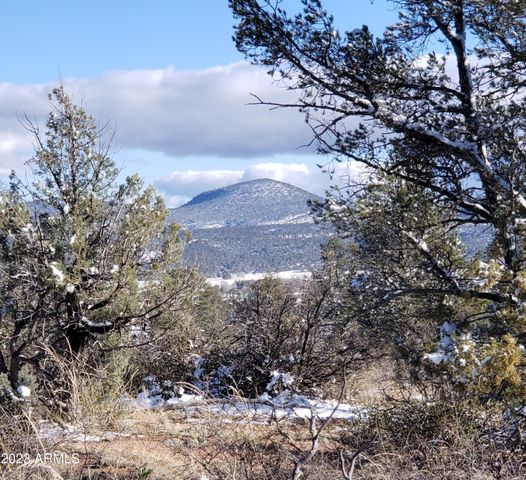 4R-4 N Ike Clark Parkway 4, Young, AZ 85554