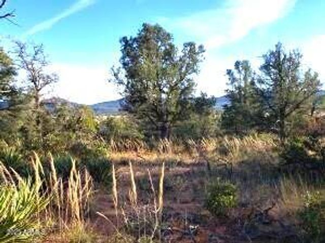 4R-4 N Ike Clark Parkway 4, Young, AZ 85554