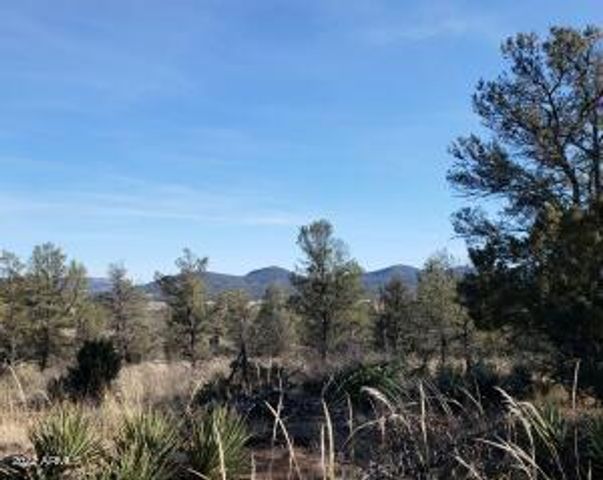 4R-4 N Ike Clark Parkway 4, Young, AZ 85554