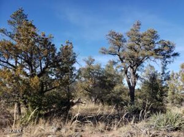 4R-4 N Ike Clark Parkway 4, Young, AZ 85554