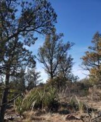 4R-4 N Ike Clark Parkway 4, Young, AZ 85554