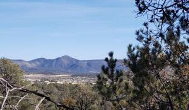 4R-4 N Ike Clark Parkway 4, Young, AZ 85554