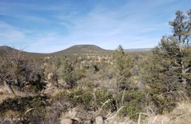 4R-4 N Ike Clark Parkway 4, Young, AZ 85554