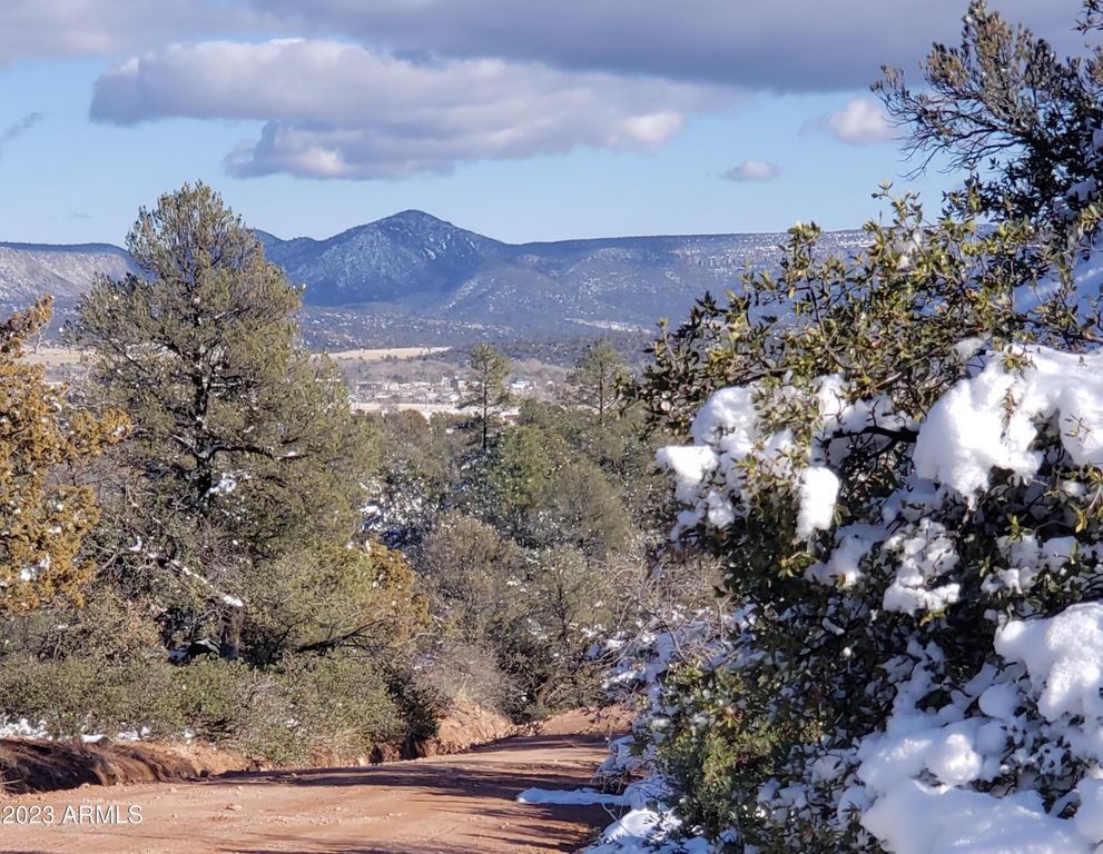 4R-4 N Ike Clark Parkway 4, Young, AZ 85554