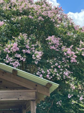 114 Briar Lane, Crockett, TX 75835