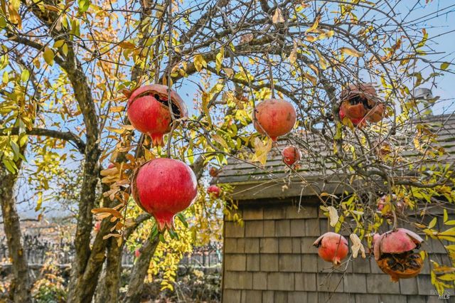 4188 Saint Helena Hwy, Calistoga, CA 94515