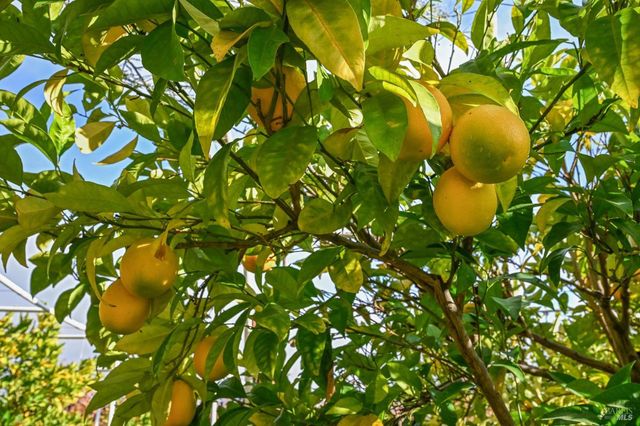 4188 Saint Helena Hwy, Calistoga, CA 94515