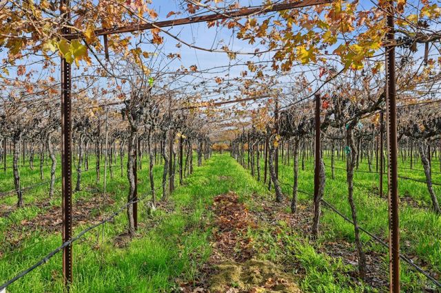 4188 Saint Helena Hwy, Calistoga, CA 94515