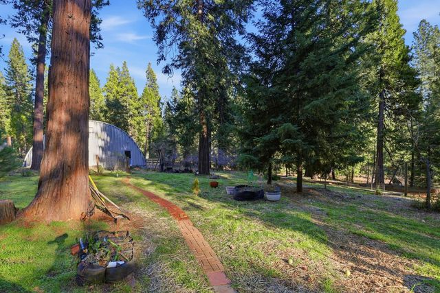 26476 Spring Rd, Pioneer, CA 95666