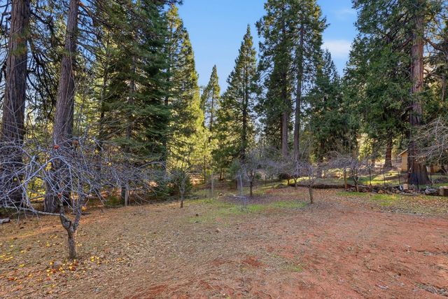 26476 Spring Rd, Pioneer, CA 95666