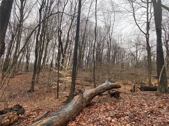 - Old Ramsey Rd, Monroeville, PA 15146