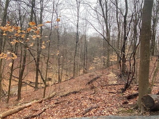 - Old Ramsey Rd, Monroeville, PA 15146