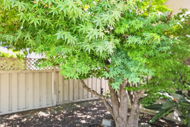 7240 Pineschi Pl, Roseville, CA 95747