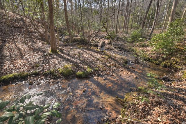 811 Mangums Trail, Blue Ridge, GA 30513