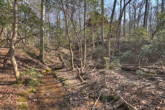 811 Mangums Trail, Blue Ridge, GA 30513