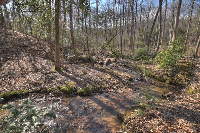 811 Mangums Trail, Blue Ridge, GA 30513