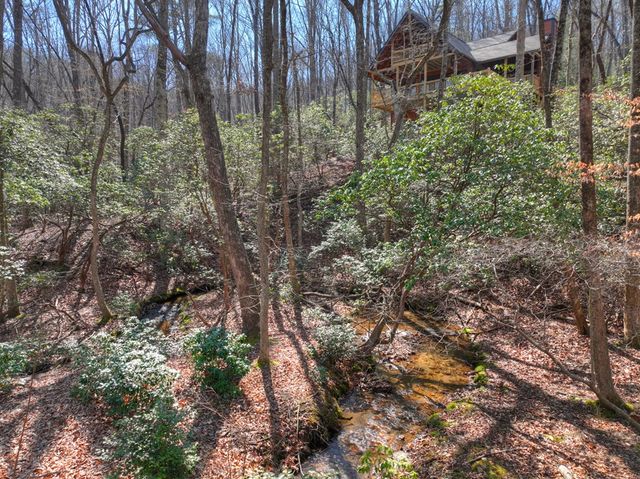 811 Mangums Trail, Blue Ridge, GA 30513