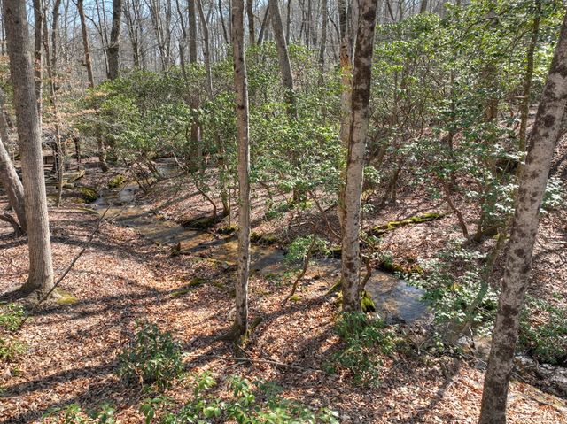 811 Mangums Trail, Blue Ridge, GA 30513
