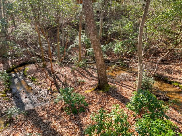 811 Mangums Trail, Blue Ridge, GA 30513