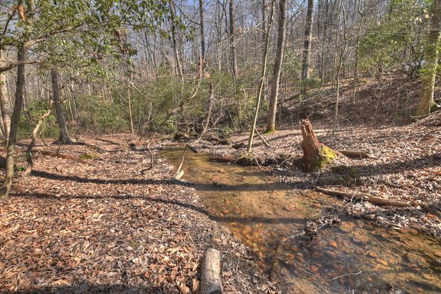 811 Mangums Trail, Blue Ridge, GA 30513