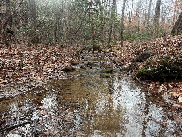 811 Mangums Trail, Blue Ridge, GA 30513