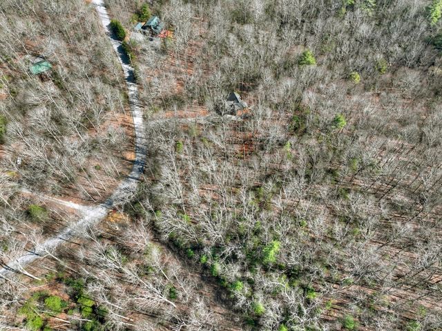 811 Mangums Trail, Blue Ridge, GA 30513
