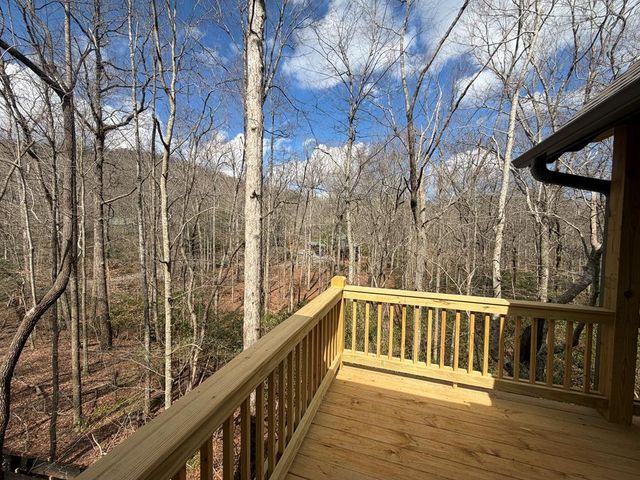 811 Mangums Trail, Blue Ridge, GA 30513