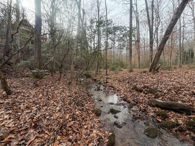 811 Mangums Trail, Blue Ridge, GA 30513
