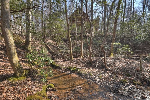 811 Mangums Trail, Blue Ridge, GA 30513