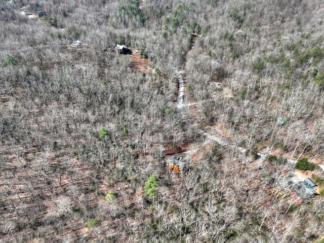 811 Mangums Trail, Blue Ridge, GA 30513
