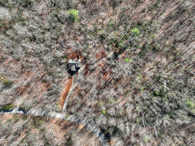 811 Mangums Trail, Blue Ridge, GA 30513