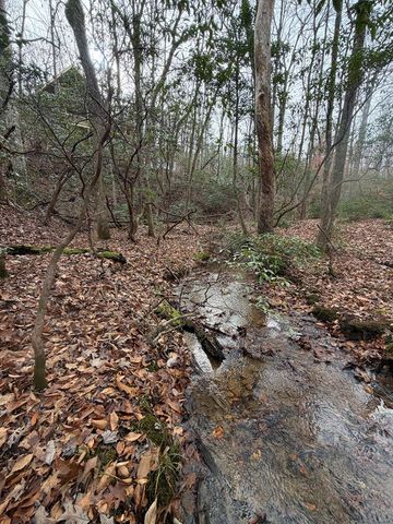 811 Mangums Trail, Blue Ridge, GA 30513