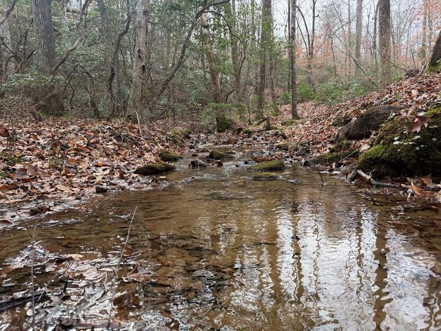 811 Mangums Trail, Blue Ridge, GA 30513