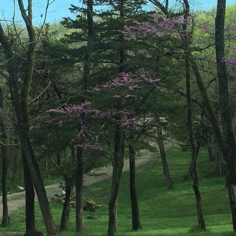 1152 N 1100 Road, Lawrence, KS 66047