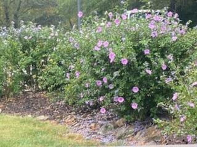 1152 N 1100 Road, Lawrence, KS 66047