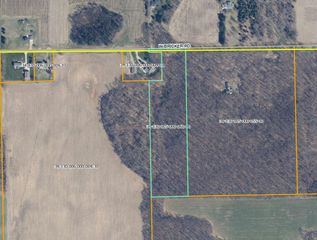 10950 W Bricker Road, Belding, MI 48809