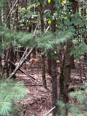 Lot #4 Summit Drive, Blairsville, GA 30512
