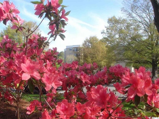 5001 Little River Rd Apt W504, Myrtle Beach, SC 29577