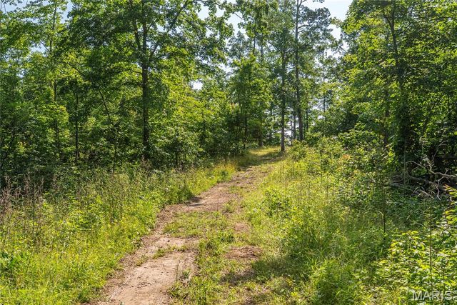115 Madison Wayne 9305, Cascade, MO 63655