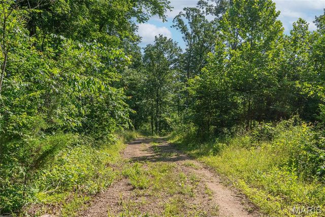 115 Madison Wayne 9305, Cascade, MO 63655