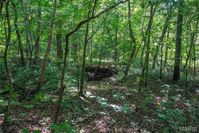 115 Madison Wayne 9305, Cascade, MO 63655
